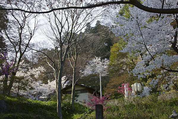 談山神社 (2).jpg