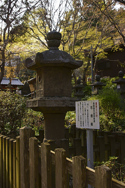 談山神社 (4)(1).jpg